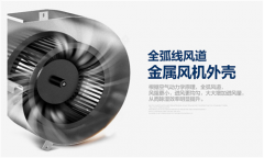 恐怖！白蚁季又来了！白蚁肆虐怎么办！